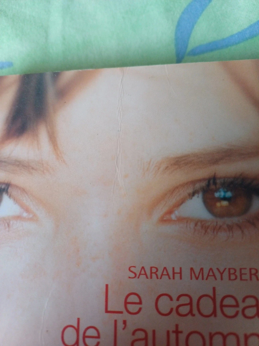 Livro o presente do outono – photo 6